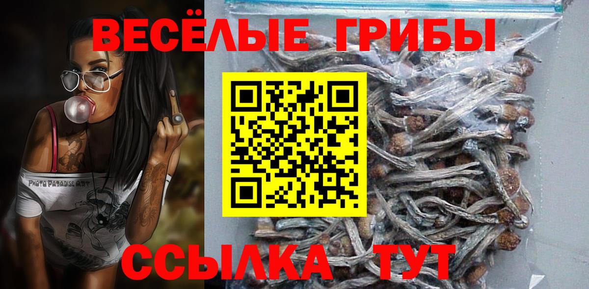 Псилоцибиновые грибы MAGIC MUSHROOMS Гай