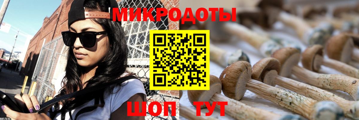 купить   Вход с VPN  Гай  Галлюциногенные грибы мицелий 